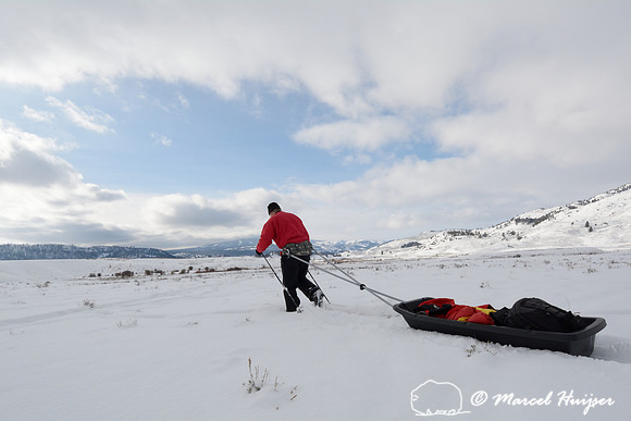 Marcel Huijser pulls cargo sled on cross country skis, Wyoming, USA