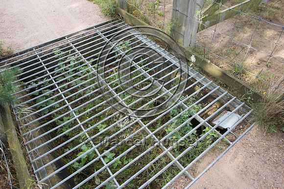 Cattle guard and escape ramp from pit for small animals at entra
