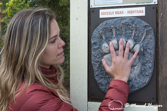 Fernanda Abra.  Wyoming, USA