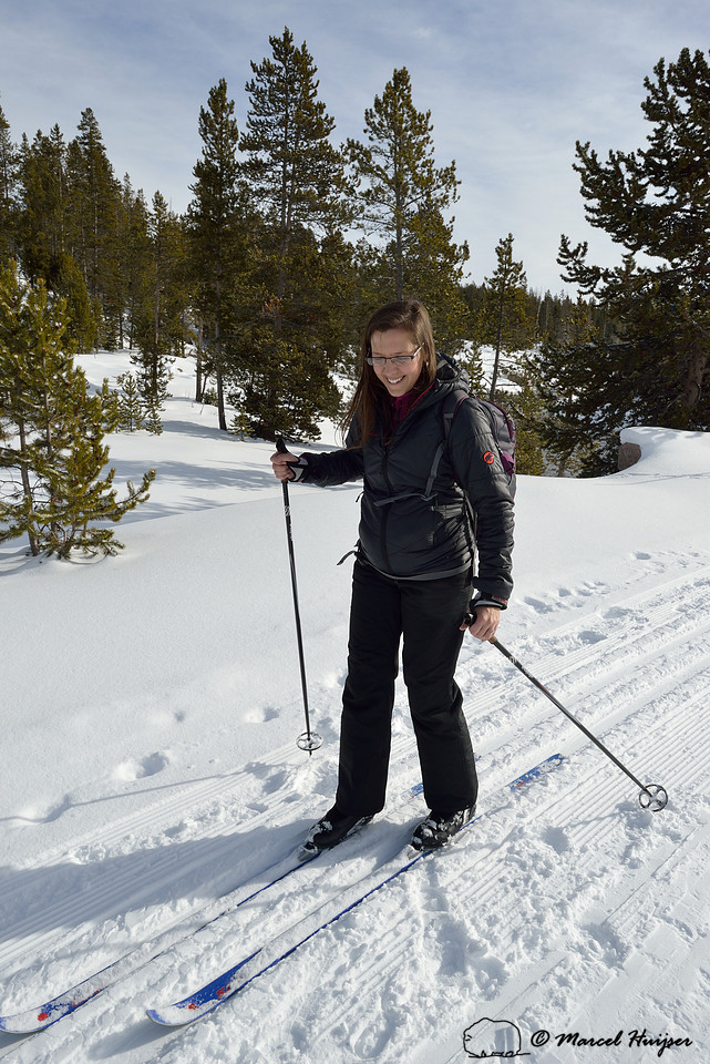 Cross-country skiers, Yellowstone National Park, Wyoming, USA