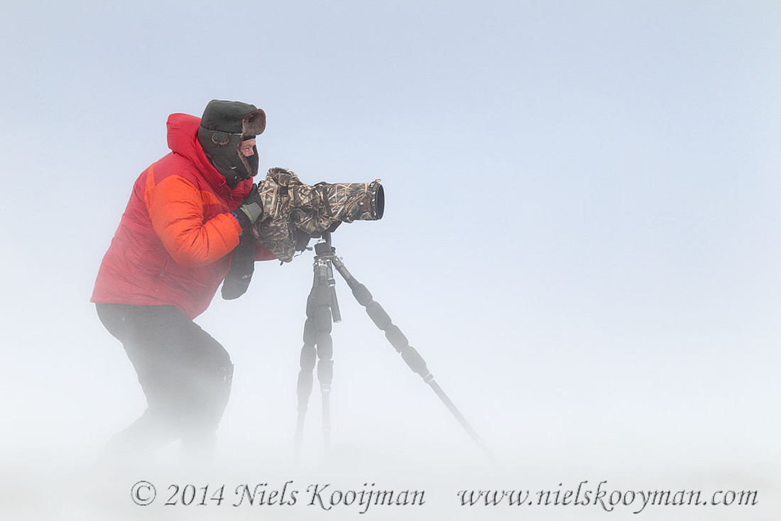 Marcel Huijser in Dovrefjell National Park, Norway