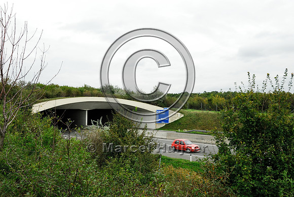 Multifunctional overpass (wildlife and farm road, about 100 m wide), across A4 motorway, Parndorf, Austria