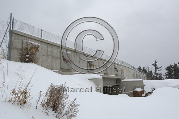 Art (drawings of animals) on wildlife overpass (about 30 m wide), Hwy 69, Ontario, Canada
