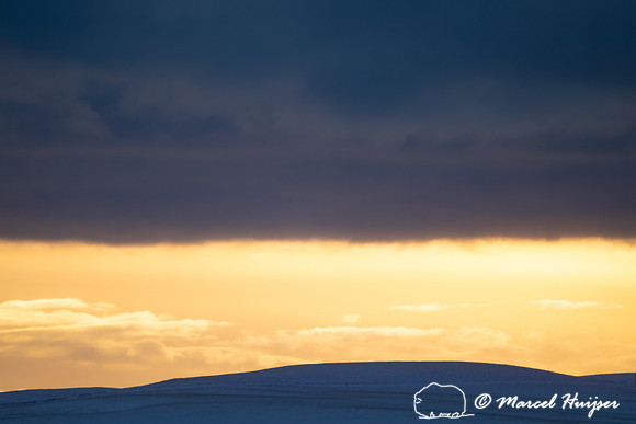 Sunrise over snowy wheatfields, Alberta, Canada
