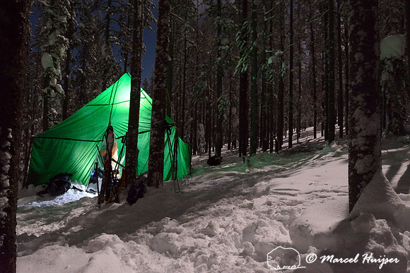 Lighted tent at night in moonlit snowy forest, Montana, USA
