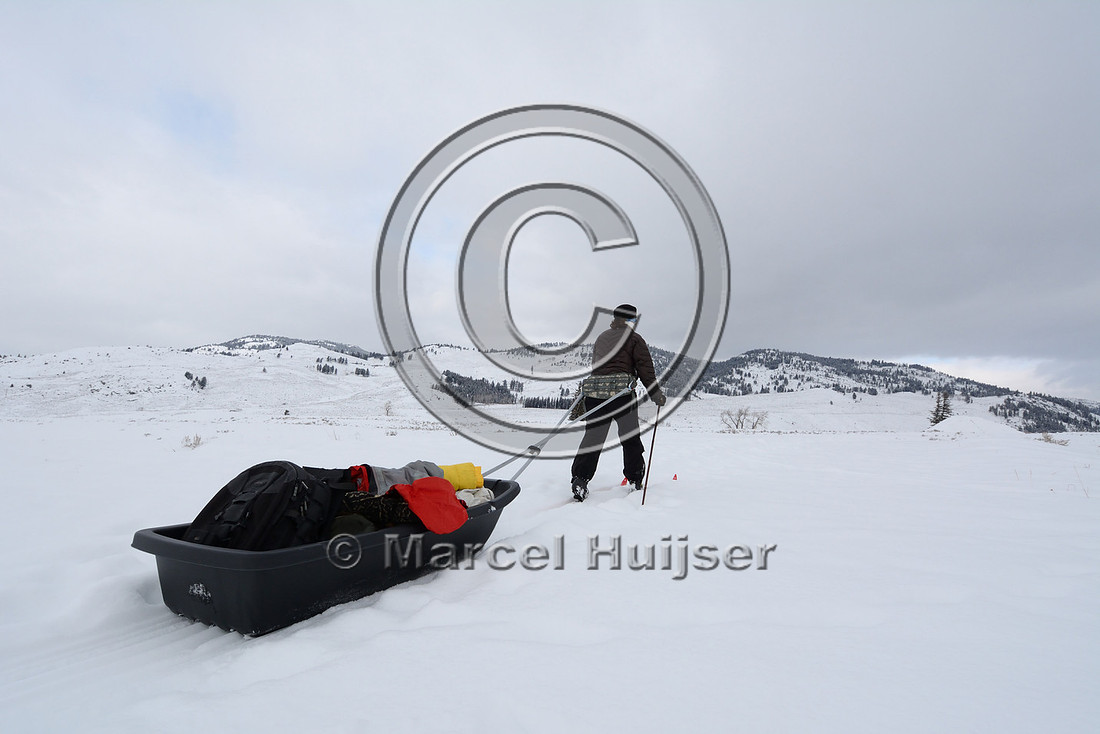 _DSC0263 Bethanie Walder pulls cargo sled on cross country skis, Wyoming, USA