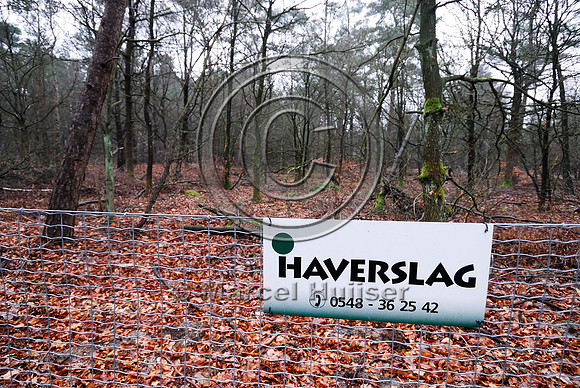 Top wire of wildlife fence, N302, Leuvenumseweg, Sonnevanck, east of Harderwijk, The Netherlands