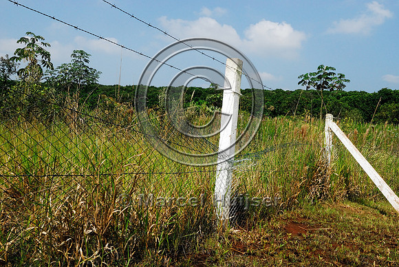 Damaged fence, SP-225, near Brotas, Brazil