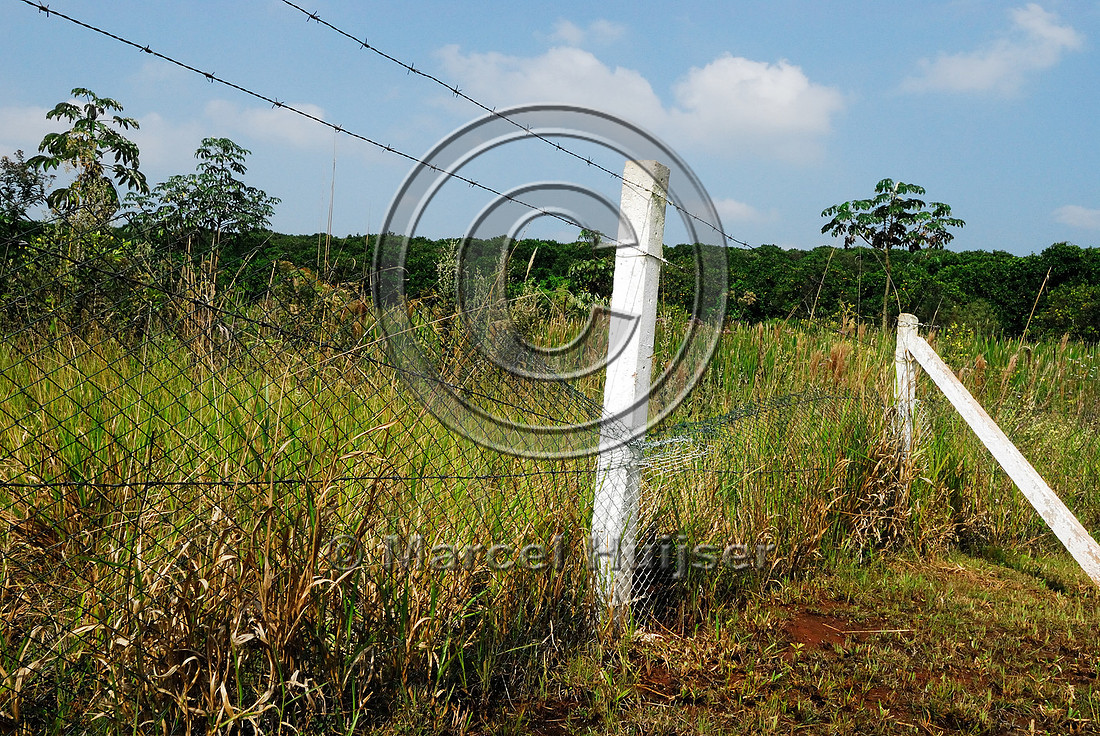 Damaged fence, SP-225, near Brotas, Brazil