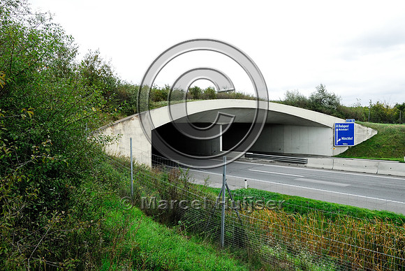 Multifunctional overpass (wildlife and farm road, about 100 m wide), across A4 motorway, Parndorf, Austria