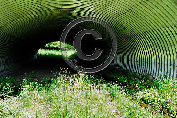 Multi-functional underpass for wildlife and water, US Hwy 93, near St Ignatius, Flathead Indian Reservation, Montana, USA