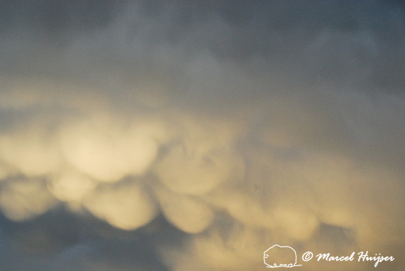 Mammatus and thunderstorm clouds, Missoula, Montana, USA