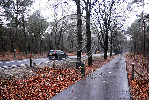 Animal detection system LED SICK WS WE 45 at a gap in a wildlife fence near Harderwijk, The Netherland