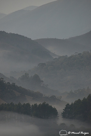 Atlantic forest with clouds at sunrise, near Parque Nacional da Serra da Bocaina, São Paulo, Brazil