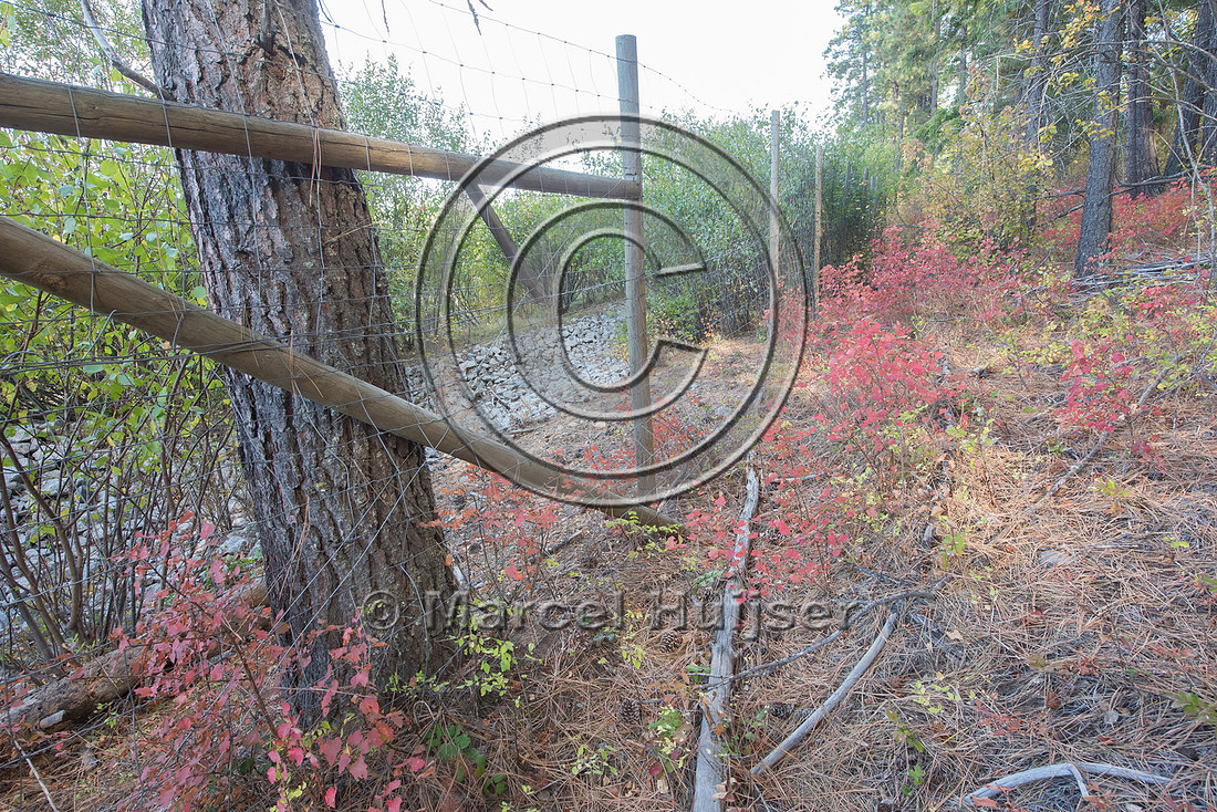 Wildlife fence, US Hwy 95, Bonners Ferry, Idaho, USA