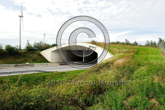 Multifunctional overpass (farm road and wildlife, about 100 m wide), across A4 motorway, Parndorf, Austria