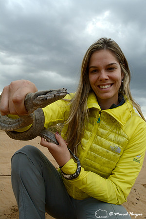 Fernanda Abra captured this boa constrictor (Boa constrictor) to remove it from the dirt road, east of Brotas, São Paulo, Brazil