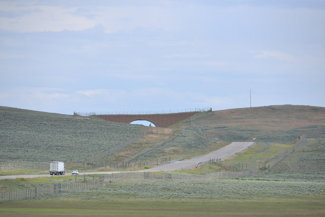 Wildlife overpass (west) for pronghorn (Antilocapra americana) (46 m (150 ft) wide), on the Path of the Pronghorn, Trapper’s Point, US Hwy 191, near Pinedale, Wyoming, USA