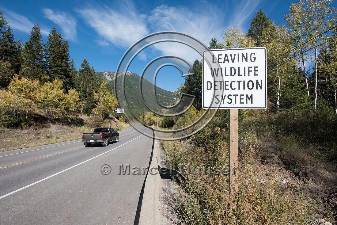 Informational sign, leaving wildlife detection system, near Elko