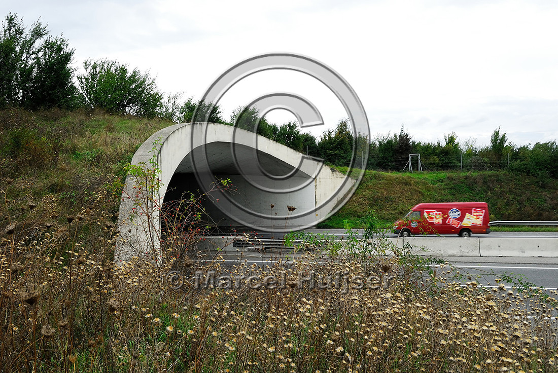 Multifunctional overpass (wildlife, bicyclists, pedestrians; about 100 m wide), across A4 motorway, Parndorf, Austria