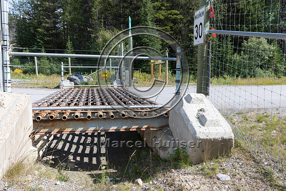Electrified barrier to keep bears off the highway, exit Lake O'H
