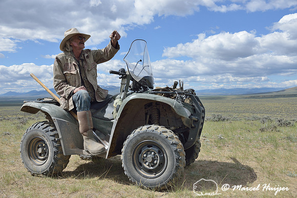 Dean Grow, ranch hand, looks after cattle, near Bannack, Montana, USA