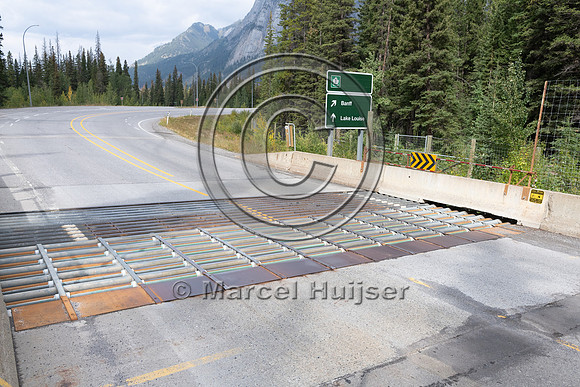 Electrified barrier to keep bears off the highway, exit Sunshine