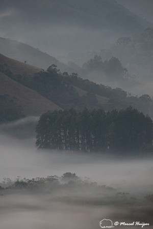 Atlantic forest with clouds at sunrise, near Parque Nacional da Serra da Bocaina, São Paulo, Brazil
