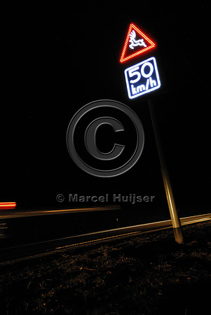 Animal detection system at night, Harderwijk, The Netherlands