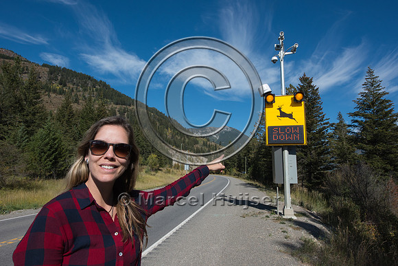 Fernanda Abra at animal detection system, east of Elko, British