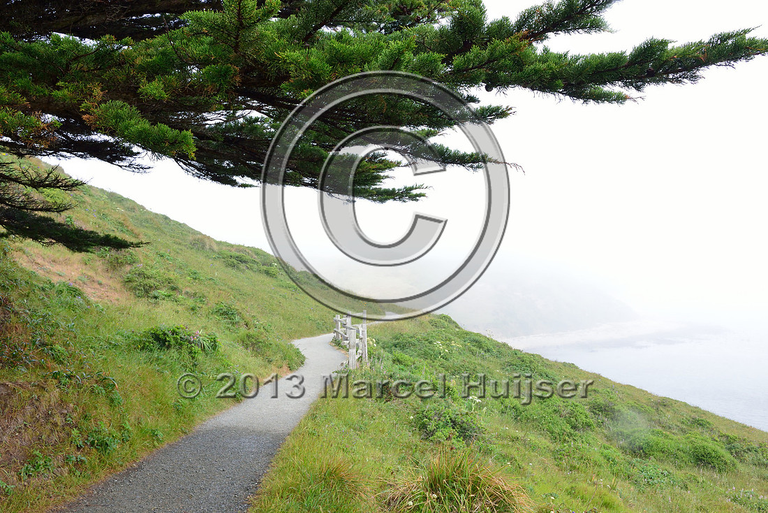 Trail to sea lion overlook, Point Reyes National Seashore, California, USA