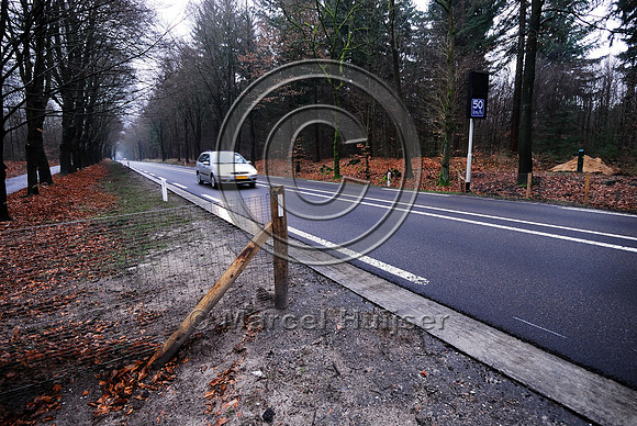 Animal detection system LED SICK WS WE 45 at a gap in a wildlife fence near Harderwijk, The Netherland