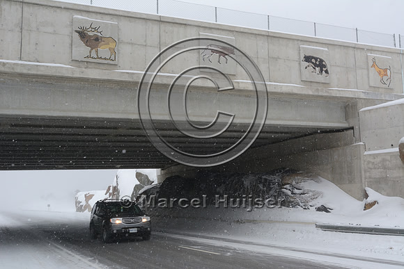 Wildlife overpass (about 30 m wide), Hwy 69, Ontario, Canada