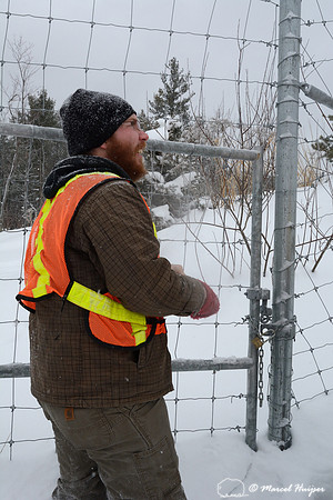 Locked gate to access wildlife overpass (about 30 m wide), Hwy 69, Ontario, Canada