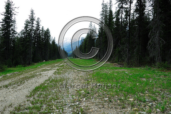 Kinder Morgan Canada oil pipeline (former TMX oil pipeline) after twinning through Jasper National Park and Mount Robson Provincial Park, AB, BC