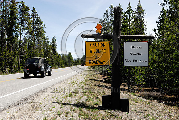 Caution, Wildlife on roadway warning sign, with flashing amber light, MT