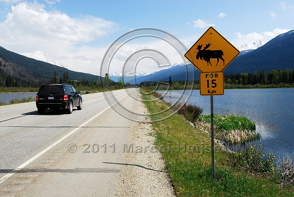 Moose (Alces alces) warning sign, for 15 km, BC