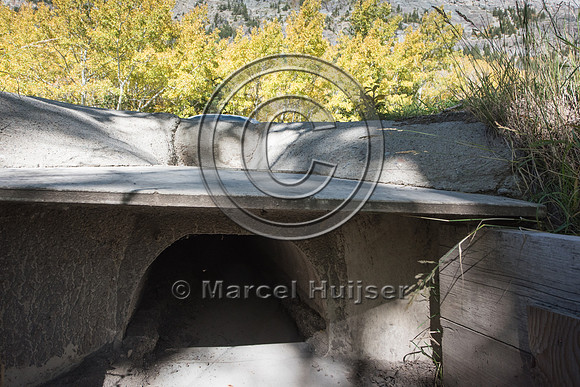 Barrier screens (fences) and culverts for long-toed salamander (