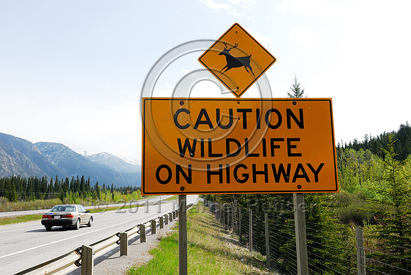 Wildlife warning sign, Caution Wildlife on highway, AB