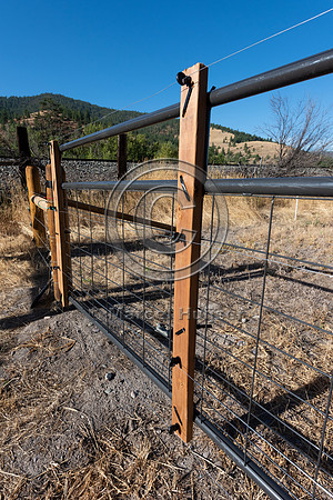 Installing electric fence and gates at a melon field to keep bla