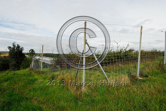 Wildlife fence at multifunctional overpass (farm road and wildlife, about 100 m wide), across A4 motorway, Parndorf, Austria