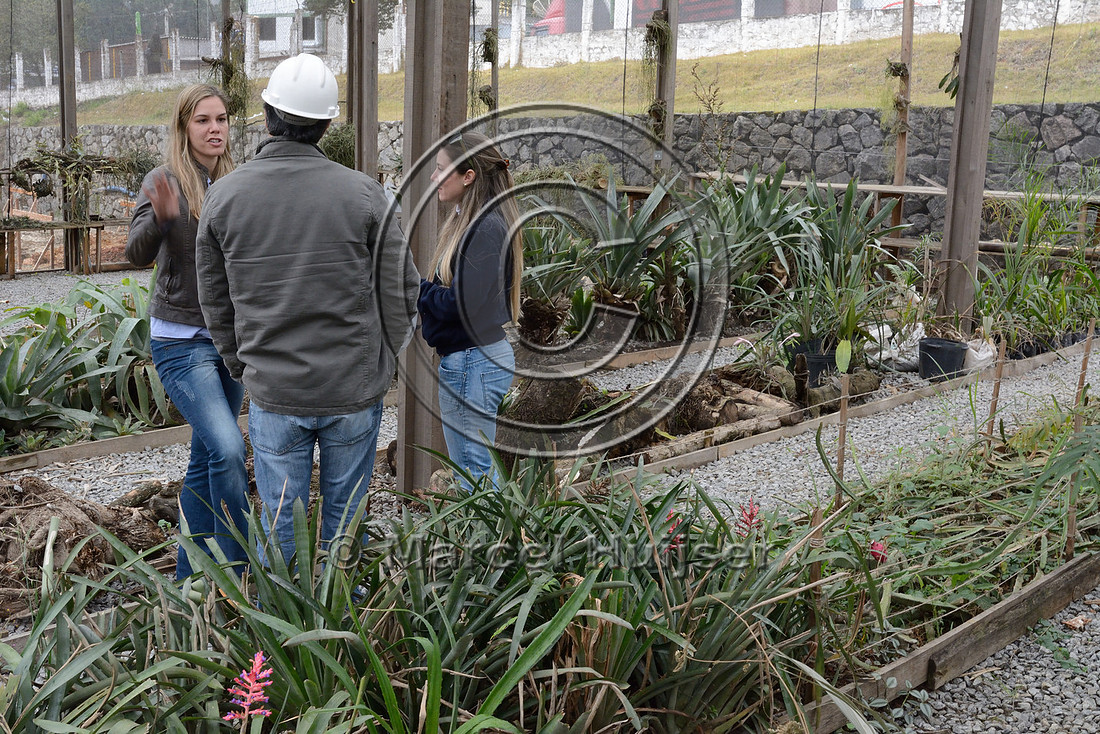 Fernanda Abra, José Ridente and Jamille Consulin at a plant nursery associated with the ongoing construction of the northern outer beltway (Rodoanel Norte) of São Paulo, Brazil