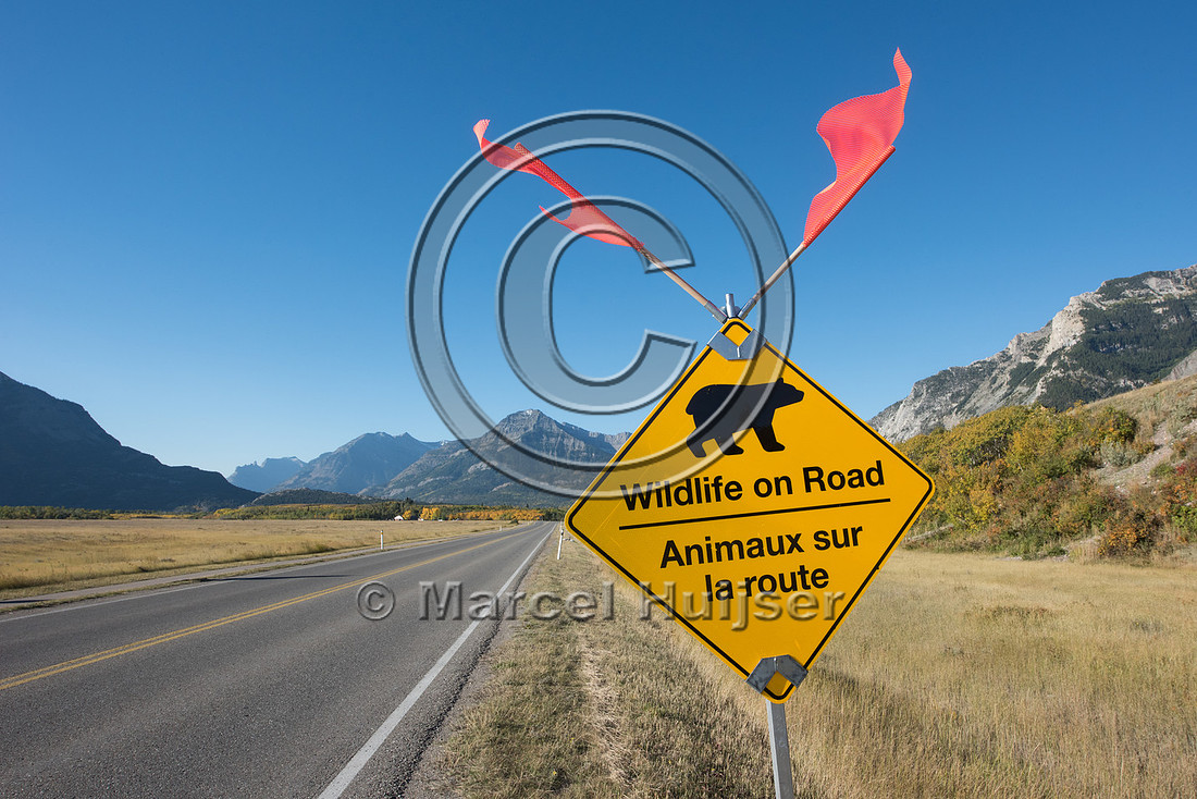 Warning signs for bear (Ursus spp.), Waterton Lakes National Par