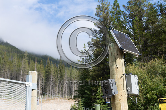 Electrified barrier to keep bears off the highway, exit Lake O'H