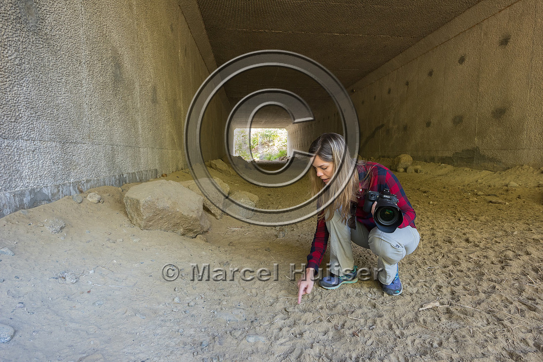 Fernanda Abra at wildlife underpass north of Bonners Ferry, Nort