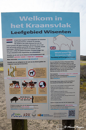 Area with reintroduced European bison (Bison bonasus), Kraansvla