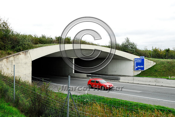Multifunctional overpass (wildlife and farm road, about 100 m wide), across A4 motorway, Parndorf, Austria