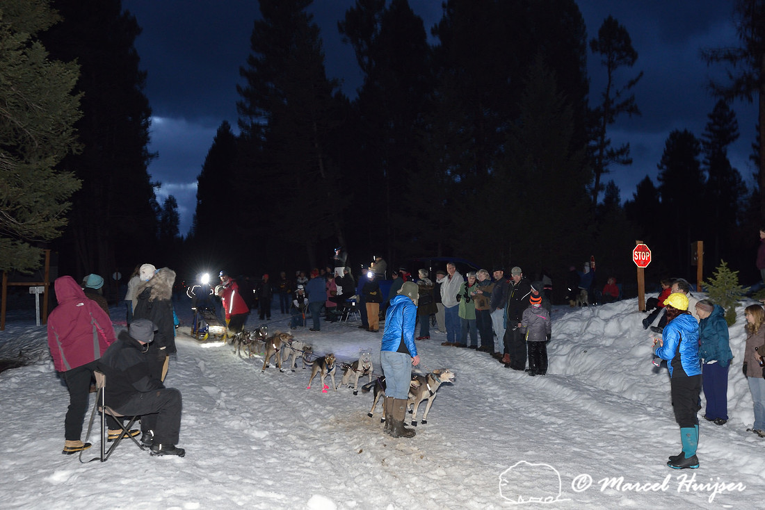Race to the Sky, sled dog race, February 13-15 2015, Seeley Lake, Montana, USA
