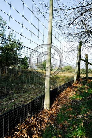Wildlife fence at ecoduct Woeste Hoeve A50 near Apeldoorn, The Netherlands