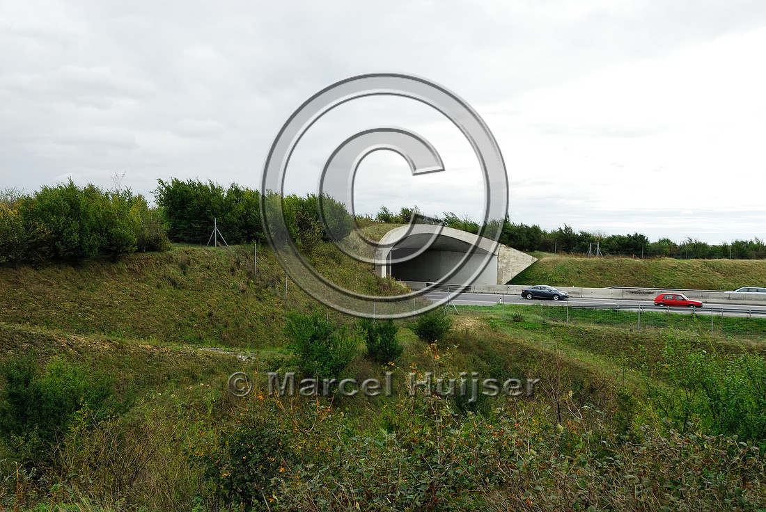 Multifunctional overpass (wildlife, bicyclists, pedestrians; about 100 m wide), across A4 motorway, Parndorf, Austria